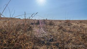 Обширните земеделски поля след село Факия