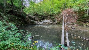 Спокойните води на Райков вир, намиращ се в околностите на село Кости