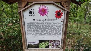 Информационната табела в местност "Св. Богородица" край село Бродилово